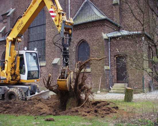 [Bagger mit Baumstumpf vor der Kirche]